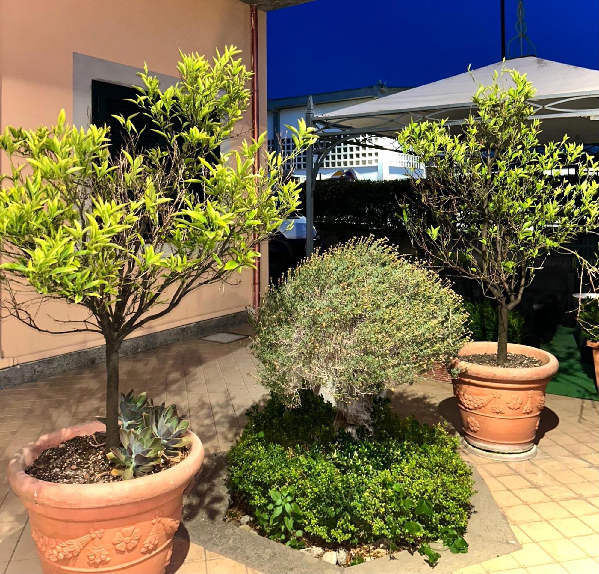 Hotel Dei Tartari Guidonia Esterno foto